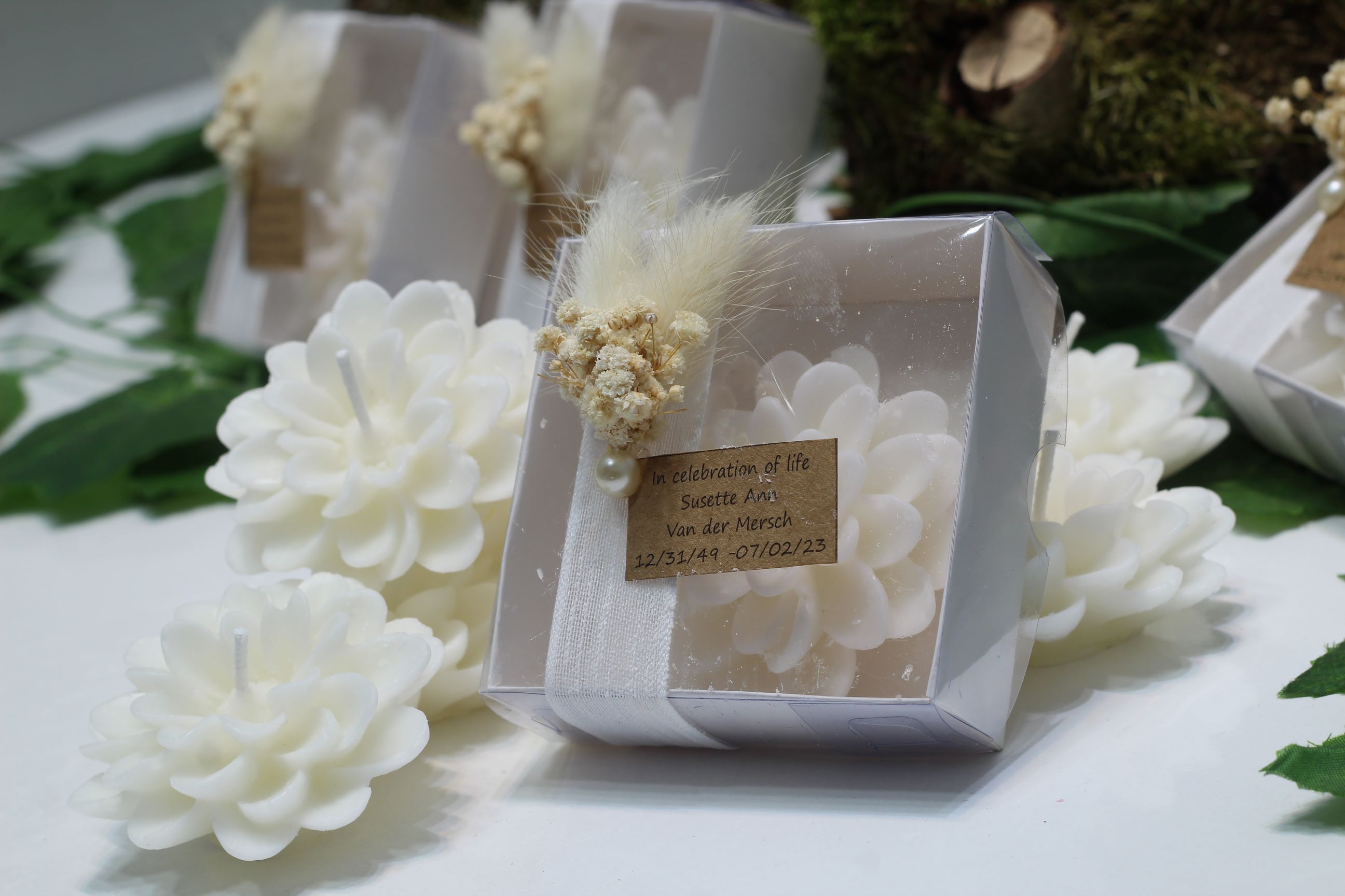 Lotus Mum (25 Adet)